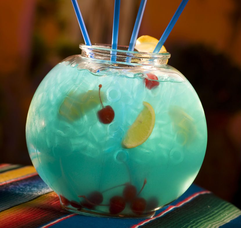 fishbowls Peceras Waasup - Imagen 1