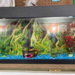 Acuario plasma