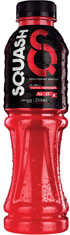 SQUASH-TROPICALES-300X1000 Squash 500ml - Imagen 1
